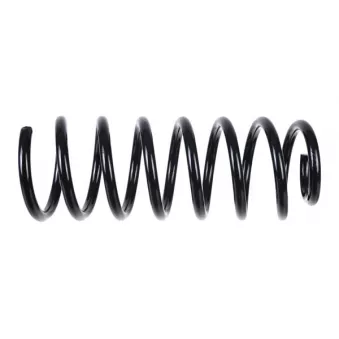 Ressort de suspension ZentParts
