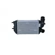 Intercooler, échangeur NRF 30066A - Visuel 1
