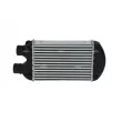 Intercooler, échangeur NRF 30122A - Visuel 1
