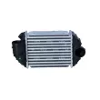 Intercooler, échangeur NRF 30133 - Visuel 1