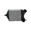Intercooler, échangeur NRF 30141 - Visuel 1
