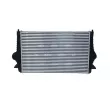 Intercooler, échangeur NRF 30166 - Visuel 3
