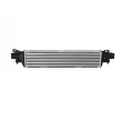 Intercooler, échangeur NRF 30179 - Visuel 1