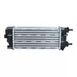 Intercooler, échangeur NRF 30183 - Visuel 3