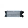 Intercooler, échangeur NRF 30191 - Visuel 1