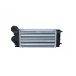 Intercooler, échangeur NRF 30191 - Visuel 3
