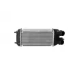 Intercooler, échangeur NRF 30193 - Visuel 1
