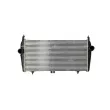 Intercooler, échangeur NRF 30194 - Visuel 1
