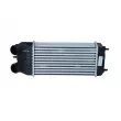 Intercooler, échangeur NRF 30196 - Visuel 1