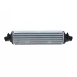 Intercooler, échangeur NRF 30235 - Visuel 1