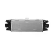 Intercooler, échangeur NRF 30241 - Visuel 1