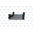 Intercooler, échangeur NRF 30245 - Visuel 1