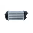 Intercooler, échangeur NRF 30246 - Visuel 1