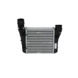 Intercooler, échangeur NRF 30251 - Visuel 1