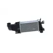 Intercooler, échangeur NRF 30258 - Visuel 3