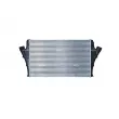Intercooler, échangeur NRF 30267 - Visuel 1