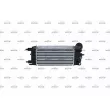 Intercooler, échangeur NRF 30282 - Visuel 3
