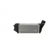 Intercooler, échangeur NRF 30283 - Visuel 3