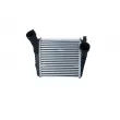 Intercooler, échangeur NRF 30286 - Visuel 1