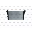 Intercooler, échangeur NRF 30306 - Visuel 3