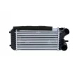 Intercooler, échangeur NRF 30324 - Visuel 1