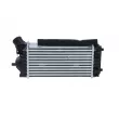 Intercooler, échangeur NRF 30324 - Visuel 3
