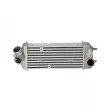 Intercooler, échangeur NRF 30336 - Visuel 1
