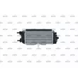 Intercooler, échangeur NRF 30341 - Visuel 3