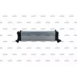 Intercooler, échangeur NRF 30342 - Visuel 3