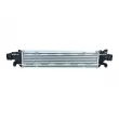 Intercooler, échangeur NRF 30351 - Visuel 1