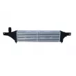 Intercooler, échangeur NRF 30363 - Visuel 3