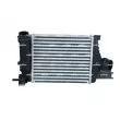 Intercooler, échangeur NRF 30375 - Visuel 1
