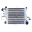 Intercooler, échangeur NRF 30382 - Visuel 1