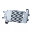 Intercooler, échangeur NRF 30383 - Visuel 1