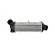 Intercooler, échangeur NRF 30413 - Visuel 1