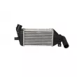 Intercooler, échangeur NRF 30426 - Visuel 1