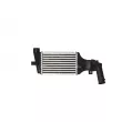 Intercooler, échangeur NRF 30427 - Visuel 1