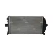 Intercooler, échangeur NRF 30431 - Visuel 3