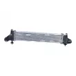 Intercooler, échangeur NRF 30440 - Visuel 3