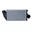 Intercooler, échangeur NRF 30442 - Visuel 1