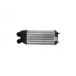 Intercooler, échangeur NRF 30460 - Visuel 1