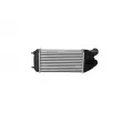 Intercooler, échangeur NRF 30460 - Visuel 3
