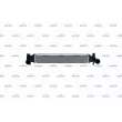 Intercooler, échangeur NRF 30463 - Visuel 1