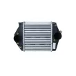 Intercooler, échangeur NRF 30471 - Visuel 1