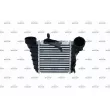 Intercooler, échangeur NRF 30476 - Visuel 1