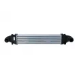 Intercooler, échangeur NRF 30506 - Visuel 1