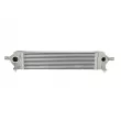 Intercooler, échangeur NRF 30510 - Visuel 1