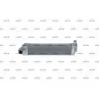 Intercooler, échangeur NRF 30514 - Visuel 1