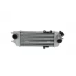 Intercooler, échangeur NRF 30525 - Visuel 1