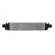 Intercooler, échangeur NRF 30780 - Visuel 1